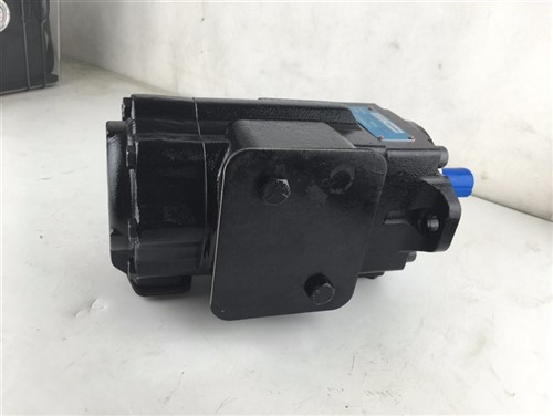 Parker Denison T6-serie T6DCC T7EE T67DCB T7EDS T67DCC T67DC T6EEC T6EDC T7EEC Hydraulische schottenpomp T67DC-B42-B17-1R00A100